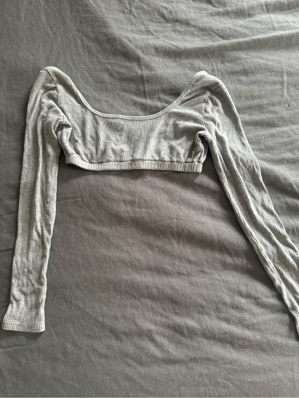 Edikted Ribbed Long-Sleeve Cropped Top in Light Gray